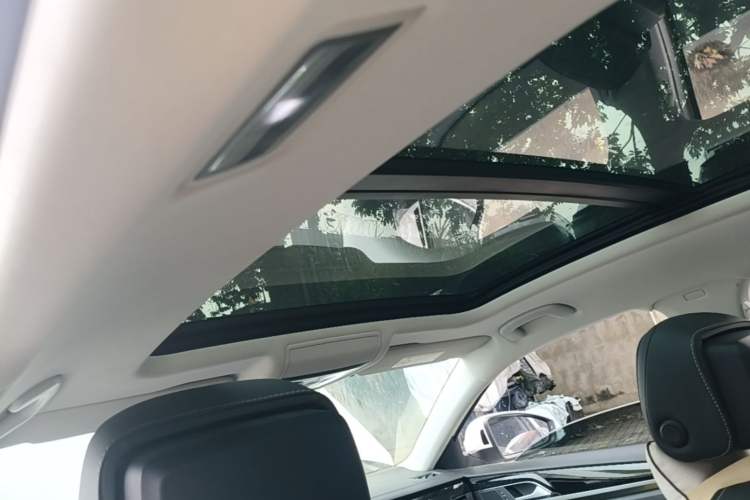 Used Volkswagen Passat New Energy 2022 430 PHEV Hybrid Luxury Edition Headliner