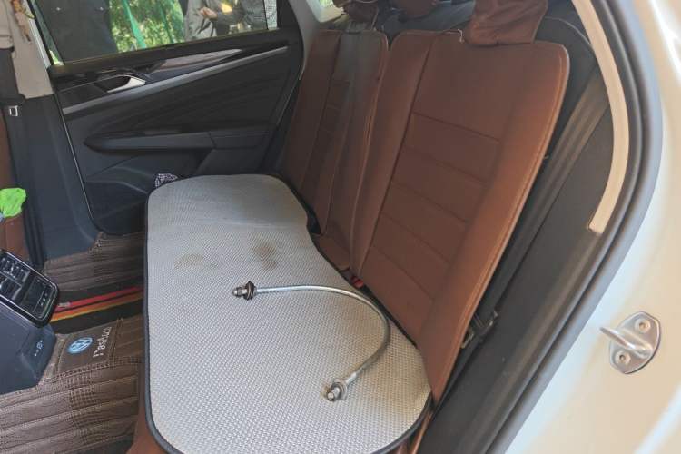 Used Volkswagen Passat New Energy 2022 430 PHEV Hybrid Luxury Edition Left Rear Seat