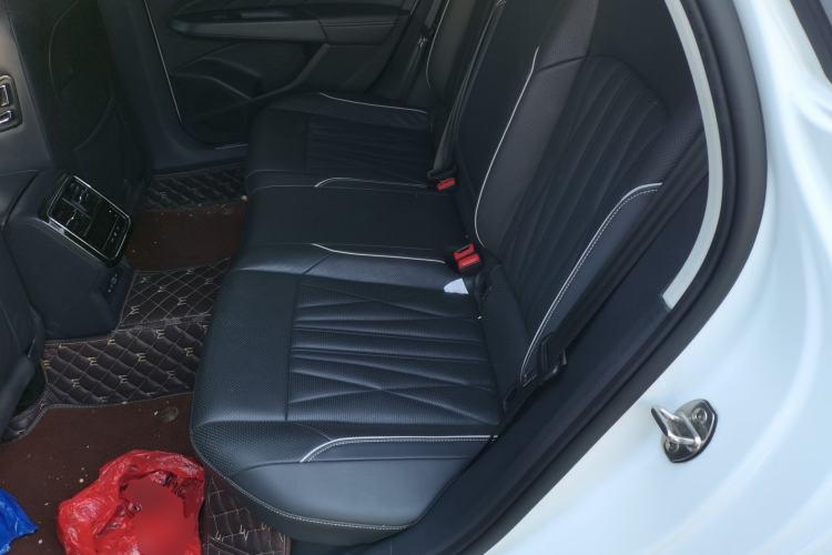 Used Volkswagen Passat New Energy 2022 430 PHEV Hybrid Luxury Edition Left Rear Seat