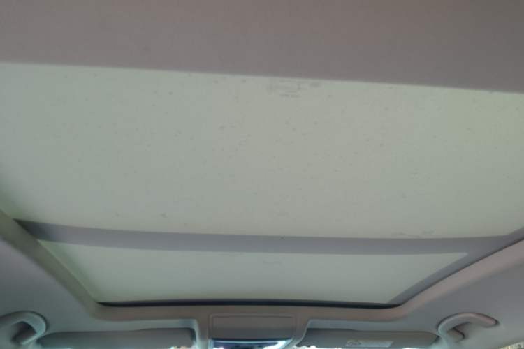 Used Volkswagen Passat New Energy 2023 430 PHEV Hybrid Luxury Edition Headliner