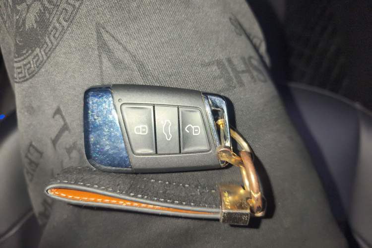 Used Volkswagen Passat New Energy 2023 430 PHEV Hybrid Elite Edition Vehicle Key