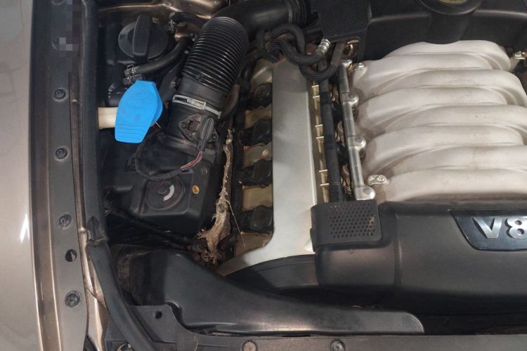 Used Volkswagen Phaeton 2011 4.2L V8 4-seat Extended-Range Individual Edition Engine Bay Right