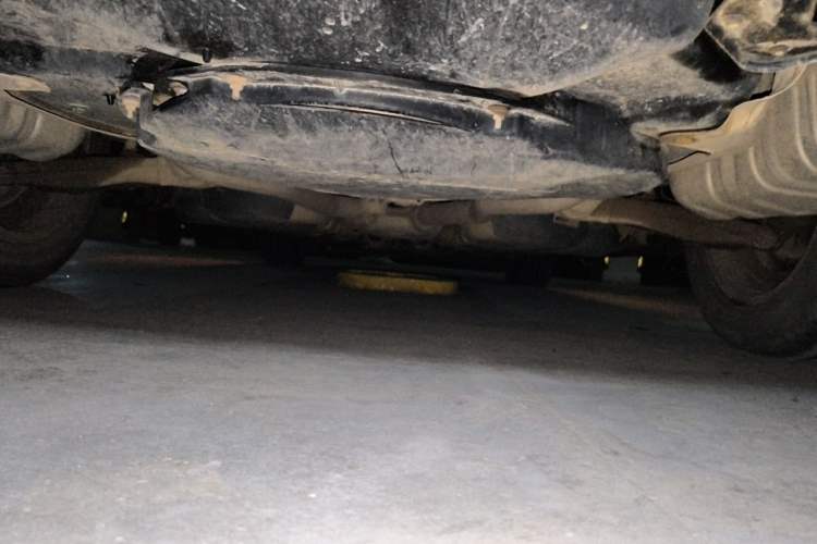 Used Volkswagen Phaeton 2012 3.0L Business Edition Chassis Rear