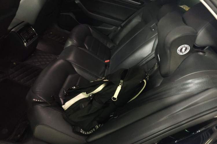 Used Volkswagen Phideon 2016 380TSI Two-Wheel-Drive Luxury Edition Left Rear Seat