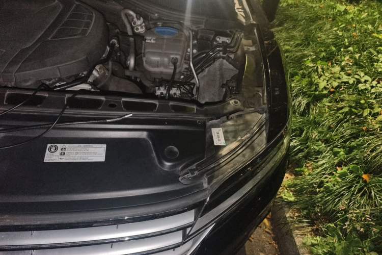 Used Volkswagen Phideon 2018 Revised Version 380TSI Two-Wheel Drive Business Edition Engine Bay Left