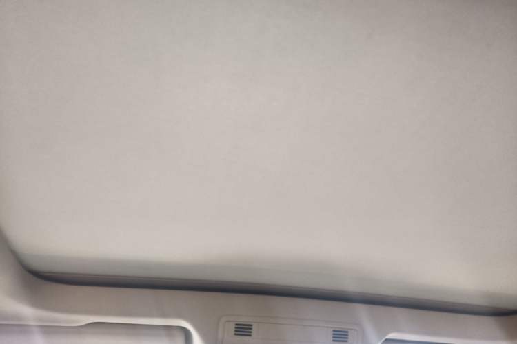 Used Volkswagen Phideon 2021 380TSI Luxury Edition Headliner