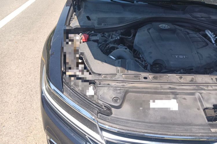 Used Volkswagen Phideon 2021 380TSI Luxury Edition Engine Bay Right