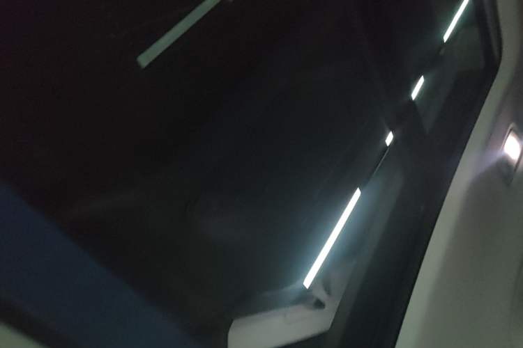 Used Volkswagen Phideon 2021 380TSI Luxury Edition Headliner