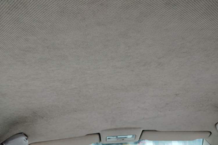 Used Volkswagen Polo 2006 Jingqu 1.6L Manual Elegant Edition Headliner