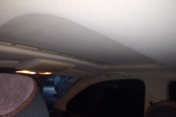 Used Volkswagen Polo 2007 1.6L Cross Polo Automatic Headliner