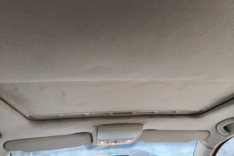 Used Volkswagen Polo 2007 1.6L Cross Polo Automatic Headliner