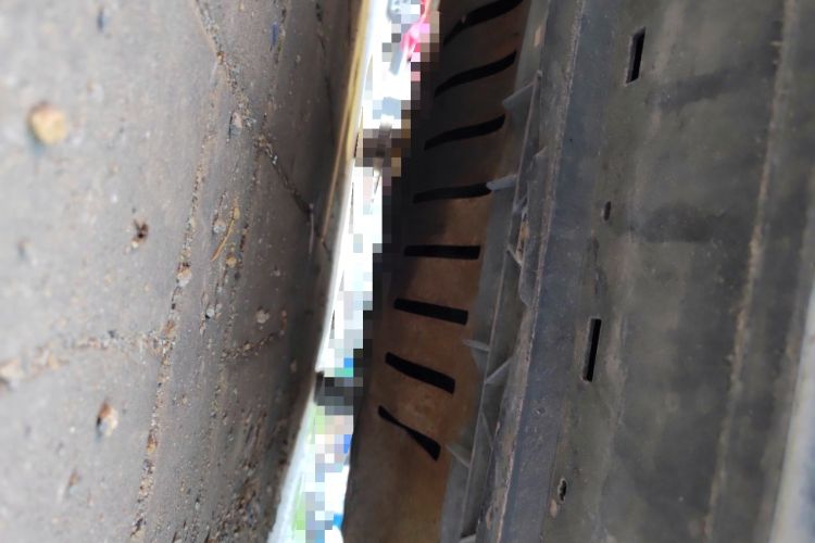 Used Volkswagen Polo 2011 1.6L Manual ZhiShang Edition Chassis Front