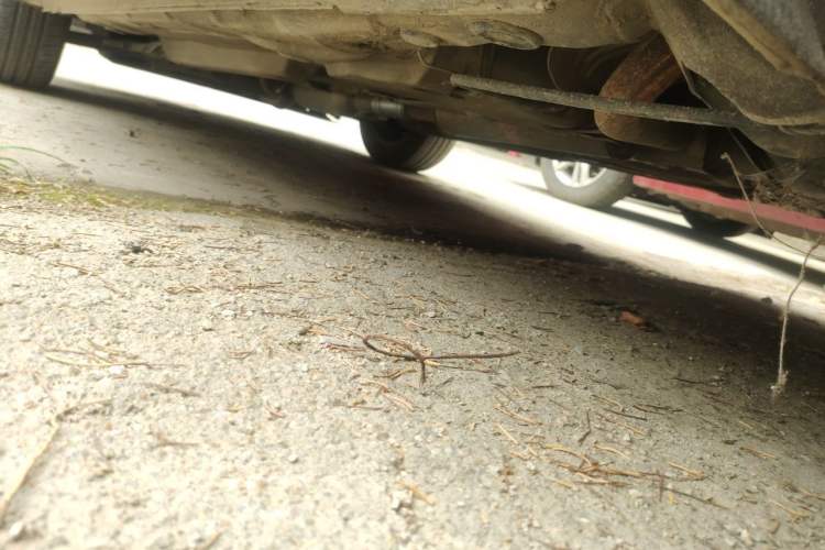Used Volkswagen Polo 2011 Jingqu 1.4L Manual Sile Edition Chassis Rear Left