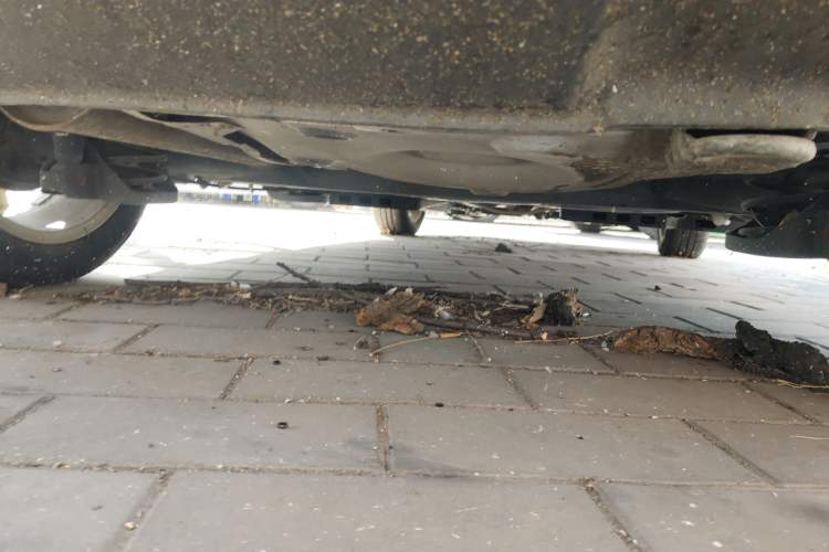 Used Volkswagen Polo 2011 1.6L Manual ZhiShang Edition Chassis Rear