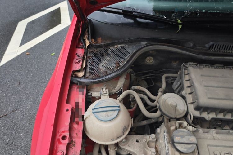 Used Volkswagen Polo 2011 1.4L Automatic ZhiCool Edition Engine Bay Right