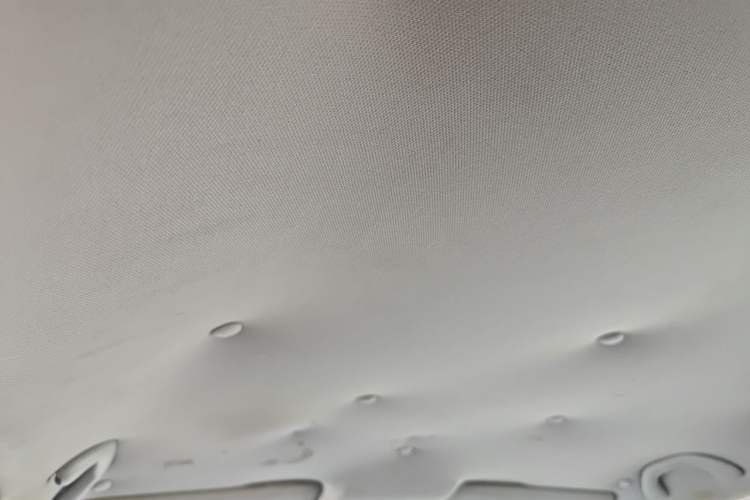 Used Volkswagen Polo 2011 1.4L Automatic ZhiShang Version Headliner