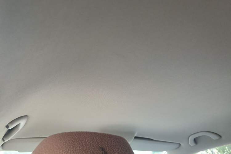 Used Volkswagen Polo 2011 1.4L Manual ZhiLe Edition Headliner