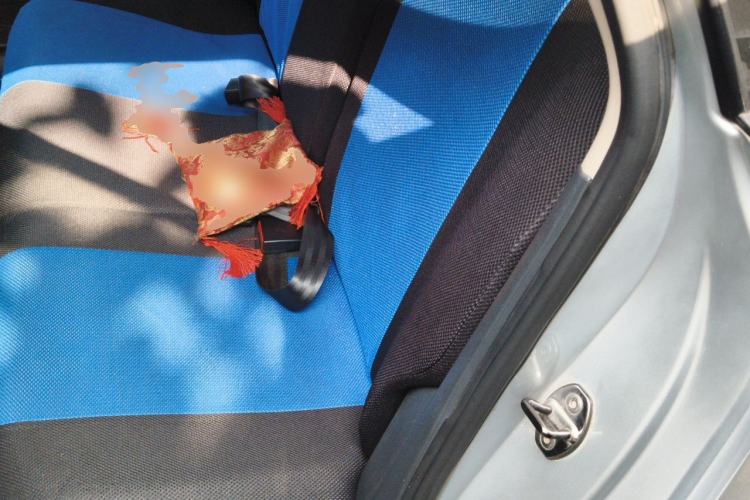 Used Volkswagen Polo 2011 1.6L Manual ZhiShang Edition Left Rear Seat