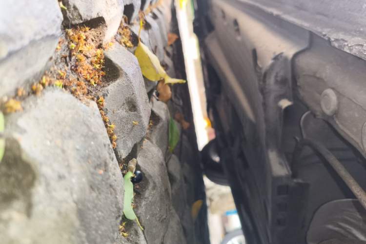 Used Volkswagen Polo 2011 1.6L Automatic ZhiShang Version Chassis Rear Left
