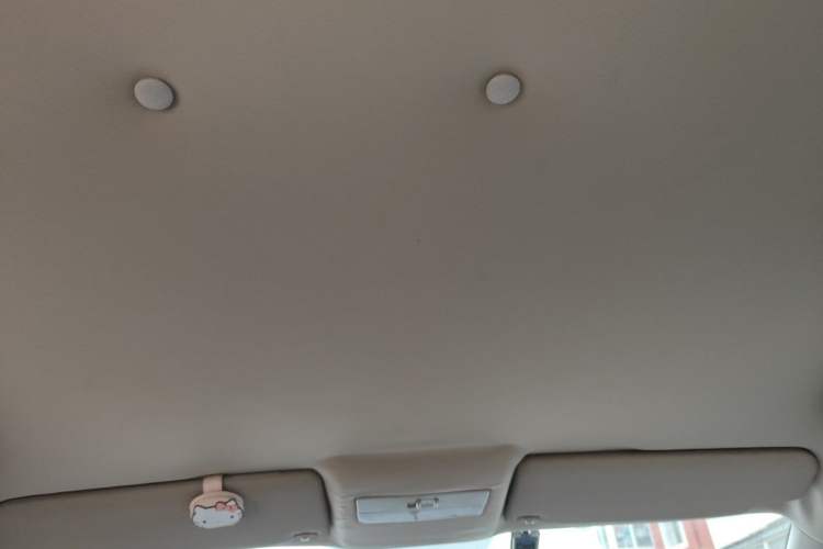 Used Volkswagen Polo 2011 1.6L Automatic ZhiShang Version Headliner