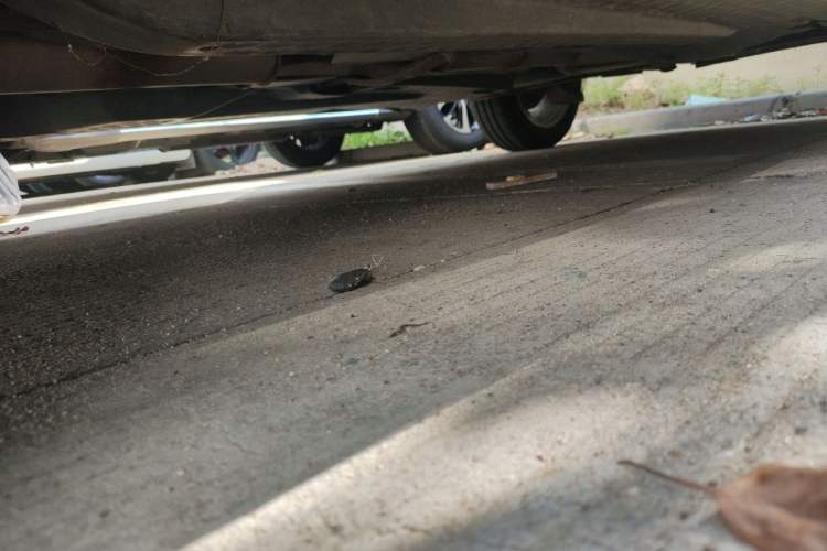 Used Volkswagen Polo  Chassis Front Left