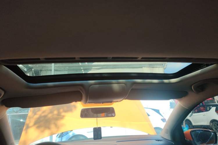 Used Volkswagen Polo  Headliner