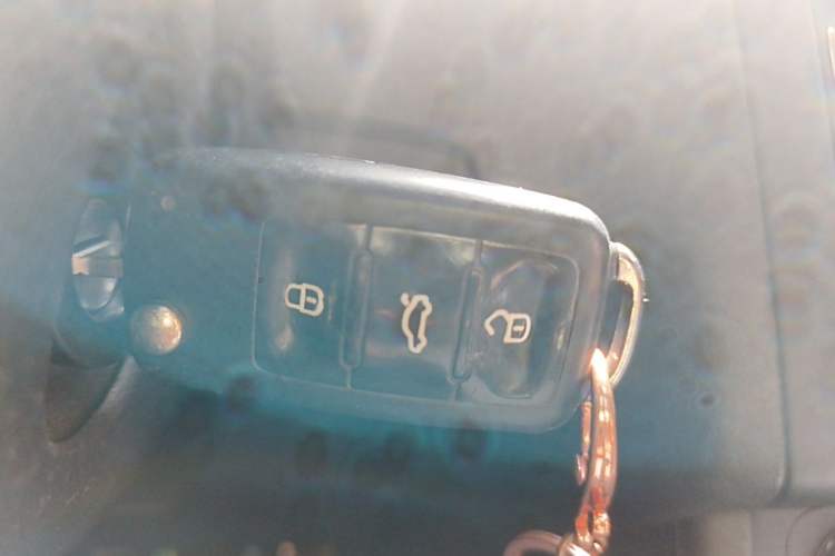 Used Volkswagen Polo 2012 1.6L Cross Polo Automatic Transmission Vehicle Key