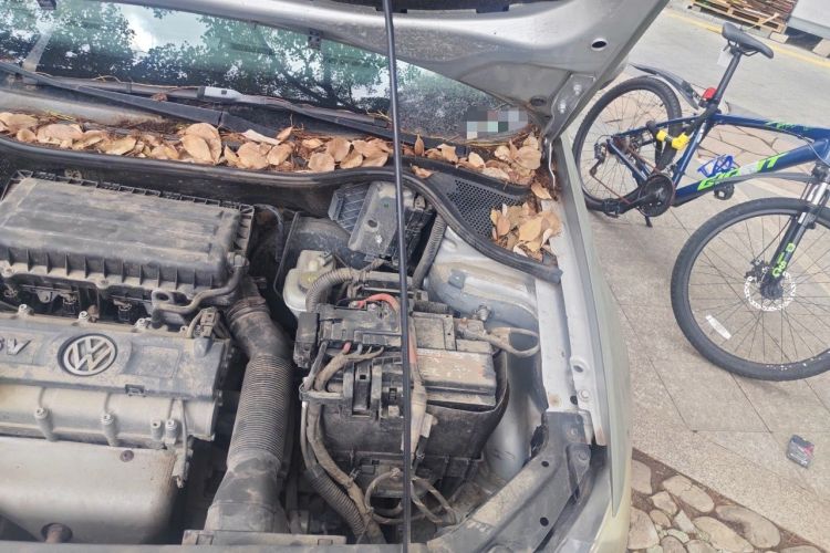 Used Volkswagen Polo 2013 1.6L Automatic Comfort Edition Engine Bay Left