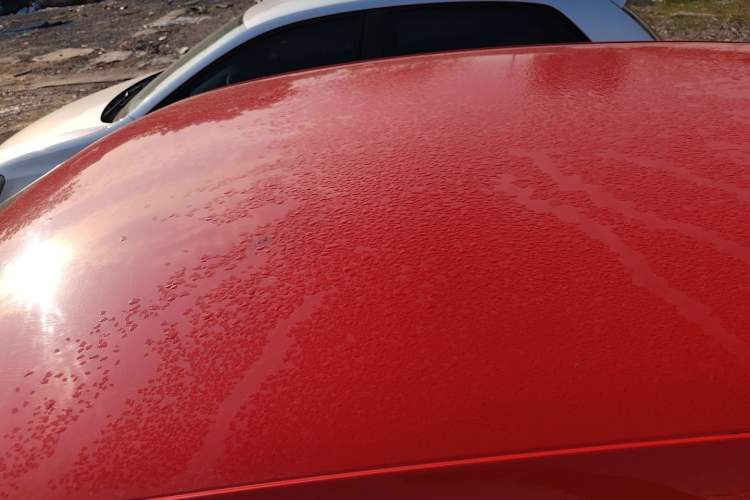 Used Volkswagen Polo 2013 1.4L Manual Fashion Edition Roof