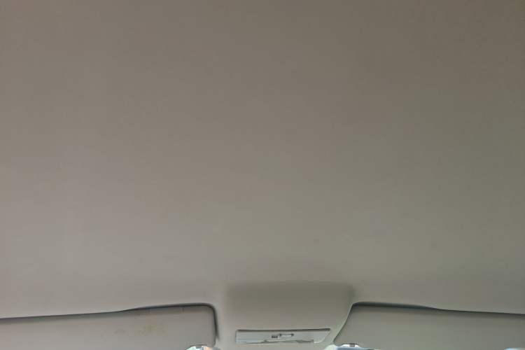 Used Volkswagen Polo 2013 1.6L Automatic Comfort Edition Headliner