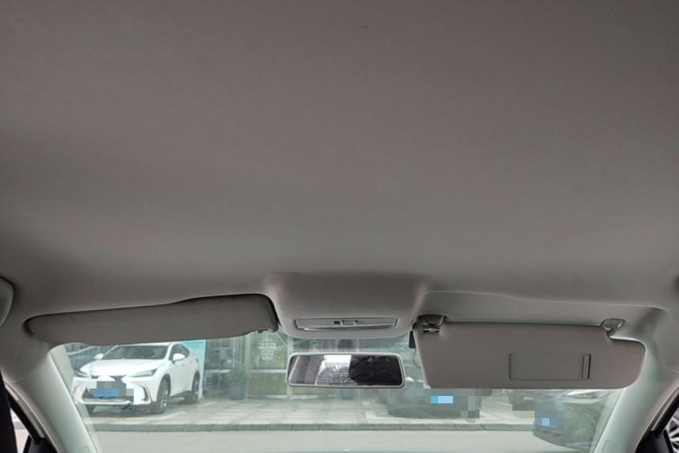 Used Volkswagen Polo 2013 1.6L Automatic Comfort Edition Headliner