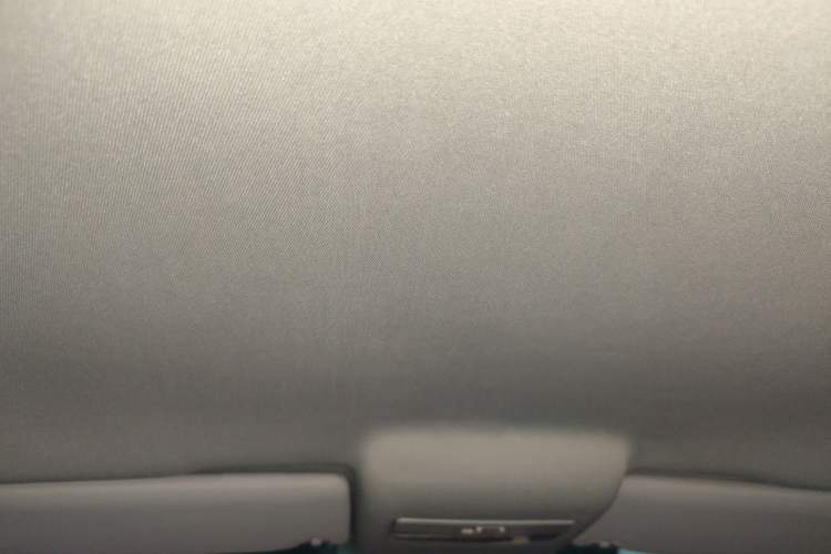 Used Volkswagen Polo 2013 1.6L Automatic Comfort Edition Headliner
