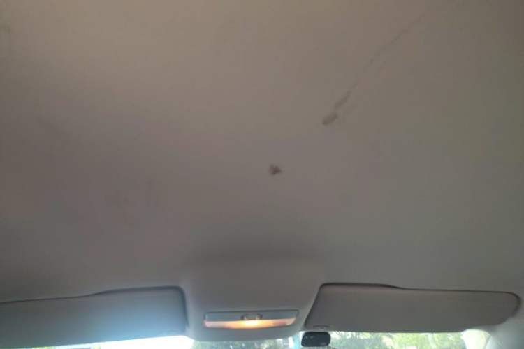 Used Volkswagen Polo 2013 1.6L Automatic Comfort Edition Headliner
