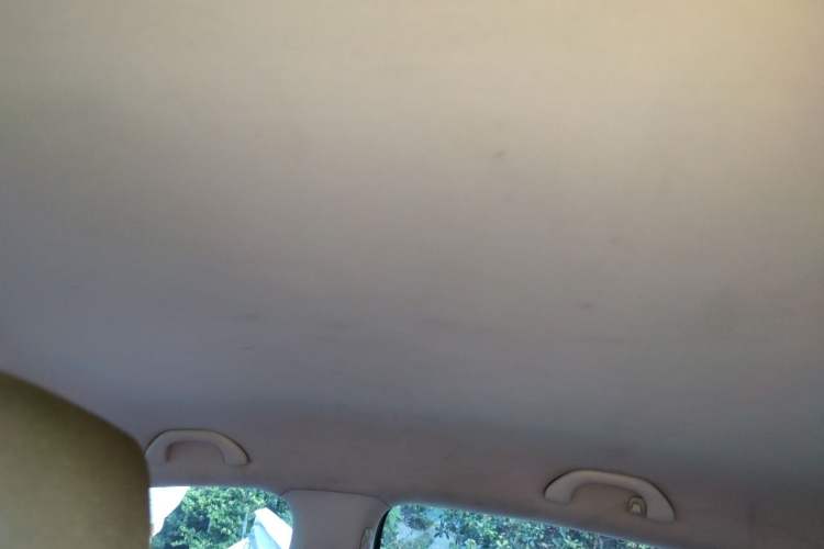 Used Volkswagen Polo 2013 1.6L Automatic Comfort Edition Headliner