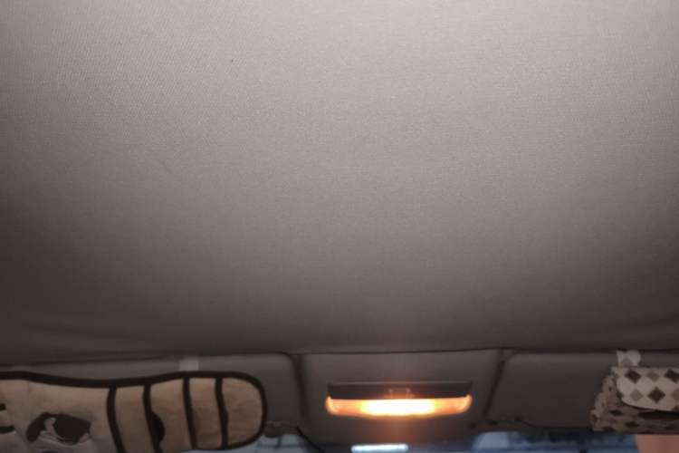 Used Volkswagen Polo 2013 1.6L Automatic Comfort Edition Headliner