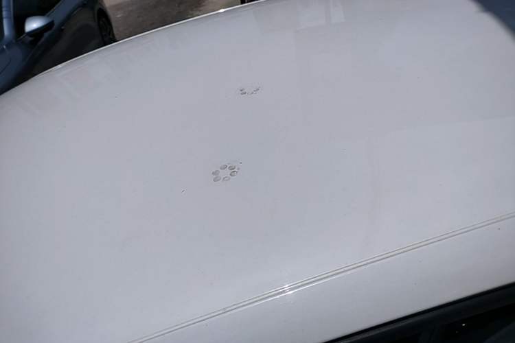 Used Volkswagen Polo 2013 1.4L Manual Fashion Edition Roof
