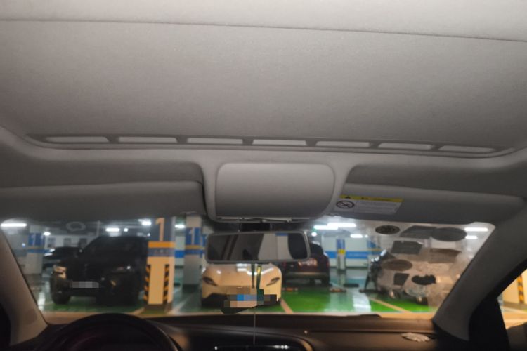 Used Volkswagen Polo 2014 1.6L Cross Polo Automatic Headliner