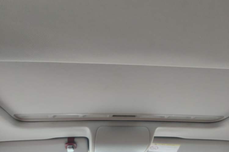 Used Volkswagen Polo 2014 1.6L Cross Polo Automatic Headliner