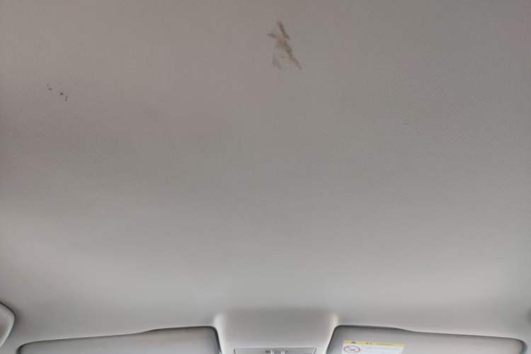 Used Volkswagen Polo 2014 1.4L Automatic Comfort Edition Headliner