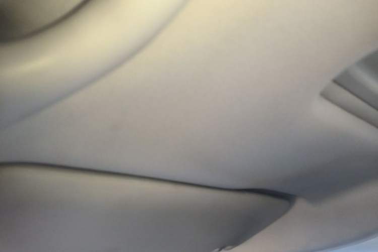 Used Volkswagen Polo 2014 1.6L Cross Polo Automatic Headliner