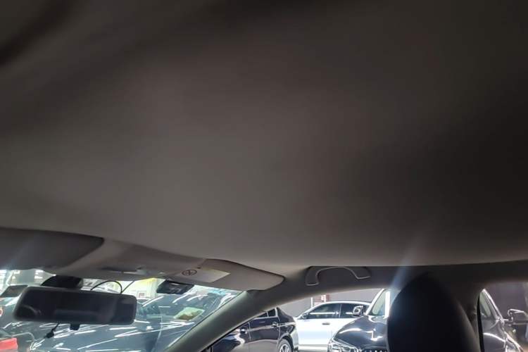 Used Volkswagen Polo 2014 1.6L Automatic Comfort Edition Headliner