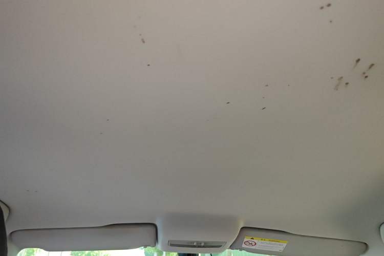 Used Volkswagen Polo 2014 1.4L Automatic Comfort Edition Headliner