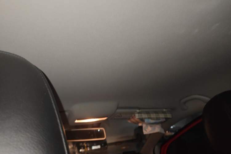 Used Volkswagen Polo 2014 1.6L Automatic Comfort Edition Headliner