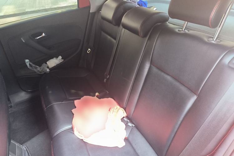 Used Volkswagen Polo 2014 1.6L Automatic 30th Anniversary Edition Left Rear Seat