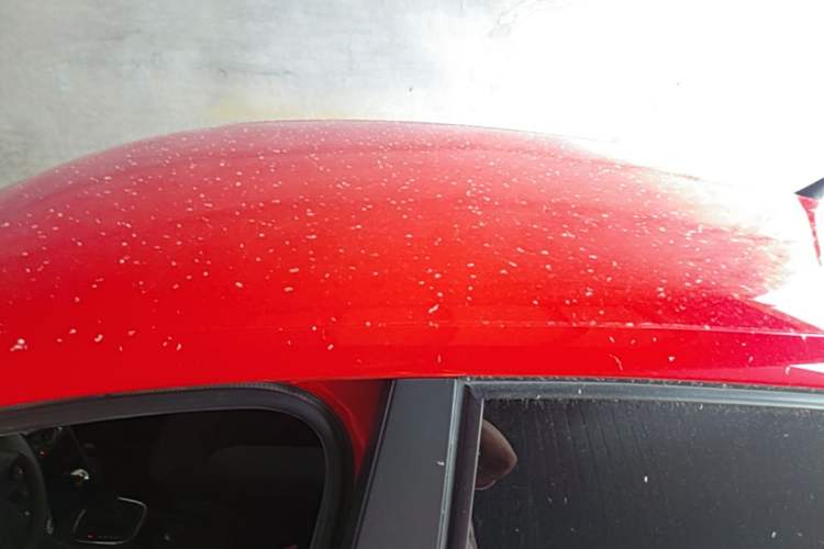 Used Volkswagen Polo 2014 1.6L Automatic Comfort Edition Roof
