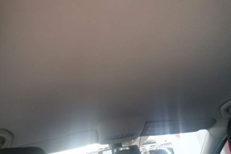 Used Volkswagen Polo 2014 1.6L Automatic Comfort Edition Headliner