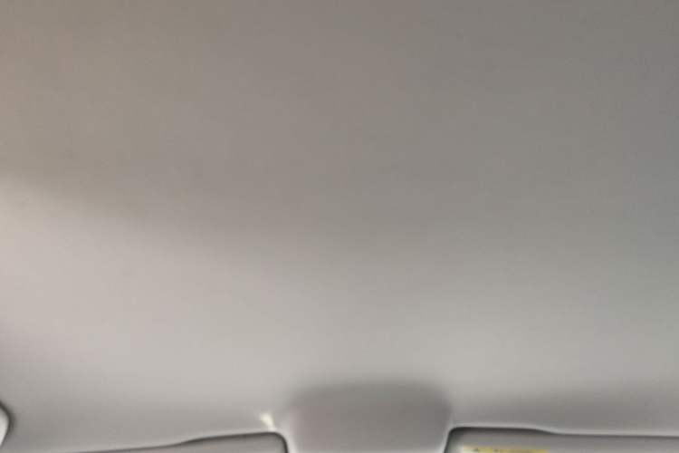 Used Volkswagen Polo 2014 1.6L Automatic Comfort Edition Headliner