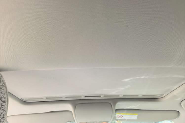 Used Volkswagen Polo 2014 1.6L Automatic Luxury Edition Headliner