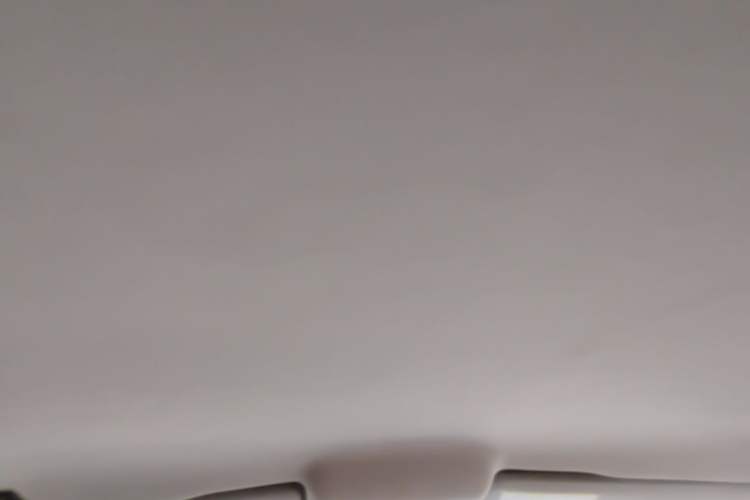 Used Volkswagen Polo 2014 1.6L Automatic Comfort Edition Headliner