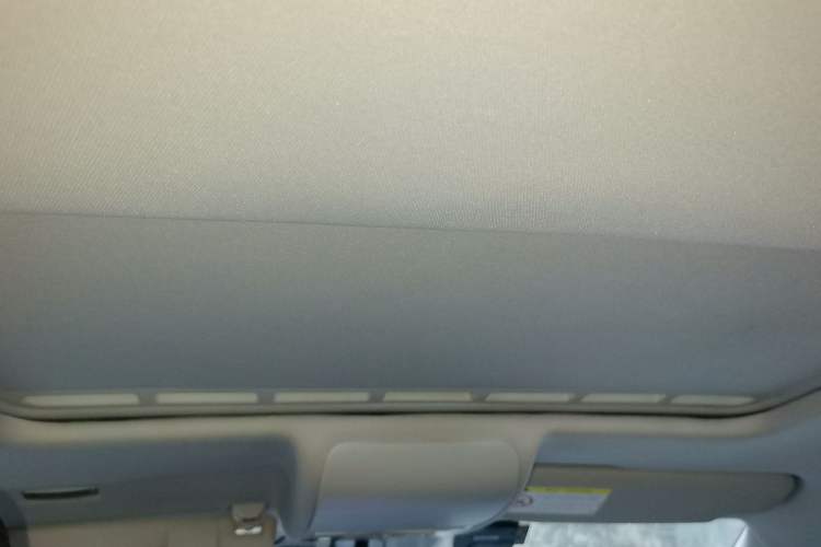 Used Volkswagen Polo 2014 1.6L Automatic 30th Anniversary Edition Headliner